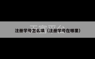 注册学号怎么填（注册学号在哪里）