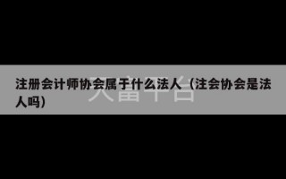 注册会计师协会属于什么法人（注会协会是法人吗）