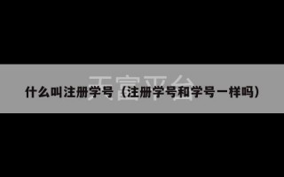 什么叫注册学号（注册学号和学号一样吗）