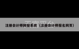 注册会计师网报系统（注册会计师报名网页）