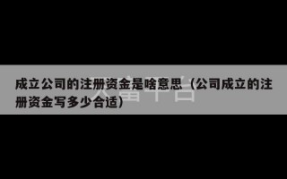 成立公司的注册资金是啥意思（公司成立的注册资金写多少合适）