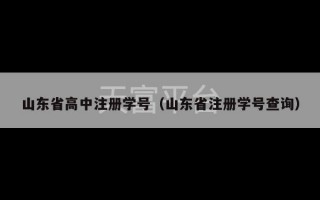 山东省高中注册学号（山东省注册学号查询）