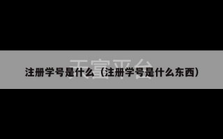 注册学号是什么（注册学号是什么东西）