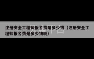 注册安全工程师报名费是多少钱（注册安全工程师报名费是多少钱啊）