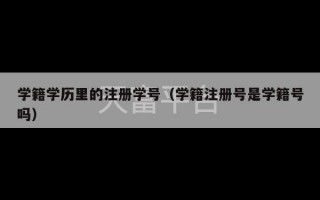 学籍学历里的注册学号（学籍注册号是学籍号吗）