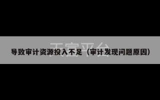 导致审计资源投入不足（审计发现问题原因）