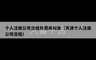 个人注册公司流程和费用标准（天津个人注册公司流程）