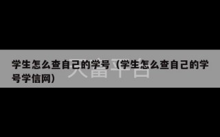 学生怎么查自己的学号（学生怎么查自己的学号学信网）