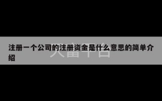 注册一个公司的注册资金是什么意思的简单介绍