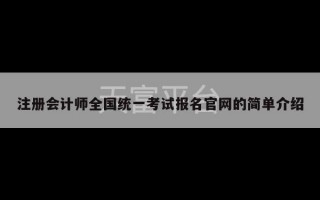 注册会计师全国统一考试报名官网的简单介绍