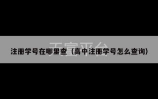 注册学号在哪里查（高中注册学号怎么查询）