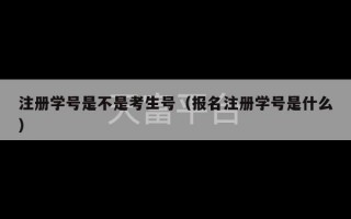 注册学号是不是考生号（报名注册学号是什么）