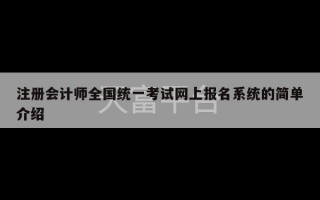 注册会计师全国统一考试网上报名系统的简单介绍