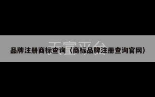 品牌注册商标查询（商标品牌注册查询官网）