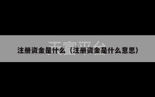 注册资金是什么（注册资金是什么意思）