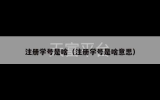 注册学号是啥（注册学号是啥意思）