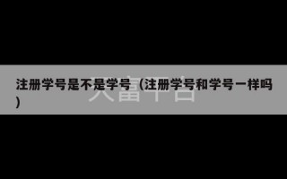 注册学号是不是学号（注册学号和学号一样吗）