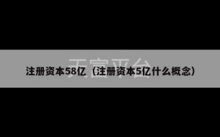 注册资本58亿（注册资本5亿什么概念）