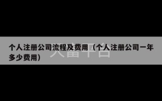 个人注册公司流程及费用（个人注册公司一年多少费用）