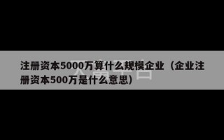 注册资本5000万算什么规模企业（企业注册资本500万是什么意思）