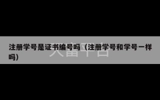 注册学号是证书编号吗（注册学号和学号一样吗）