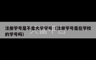 注册学号是不是大学学号（注册学号是在学校的学号吗）