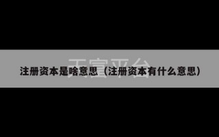 注册资本是啥意思（注册资本有什么意思）