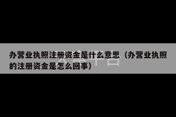 办营业执照注册资金是什么意思（办营业执照的注册资金是怎么回事）-第1张图片-天富注册【会员登录平台】天富服装