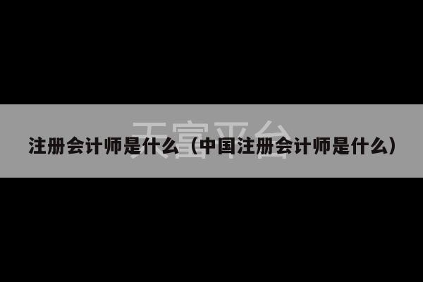 注册会计师是什么（中国注册会计师是什么）-第1张图片-天富注册【会员登录平台】天富服装