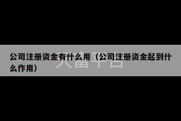 公司注册资金有什么用（公司注册资金起到什么作用）-第1张图片-天富注册【会员登录平台】天富服装