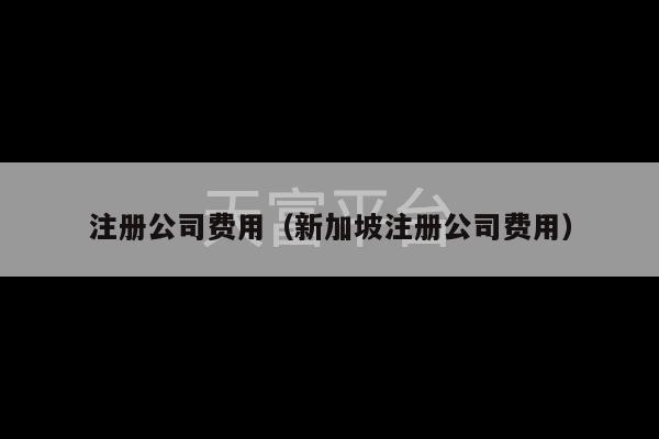 注册公司费用（新加坡注册公司费用）-第1张图片-天富注册【会员登录平台】天富服装