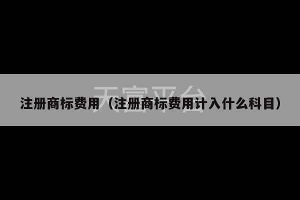 注册商标费用（注册商标费用计入什么科目）-第1张图片-天富注册【会员登录平台】天富服装