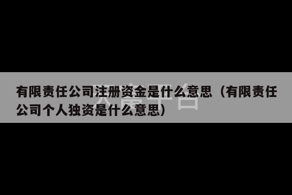 有限责任公司注册资金是什么意思（有限责任公司个人独资是什么意思）-第1张图片-天富注册【会员登录平台】天富服装