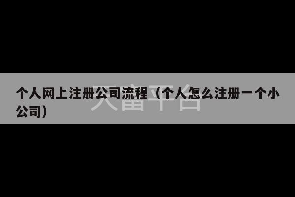 个人网上注册公司流程（个人怎么注册一个小公司）-第1张图片-天富注册【会员登录平台】天富服装