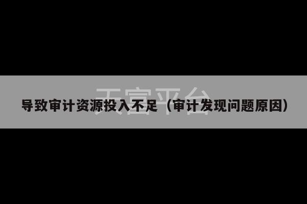 导致审计资源投入不足（审计发现问题原因）-第1张图片-天富注册【会员登录平台】天富服装